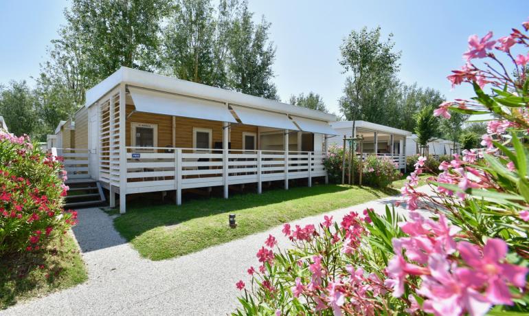 Moderne bungalows met veranda in een groene en bloeiende omgeving.