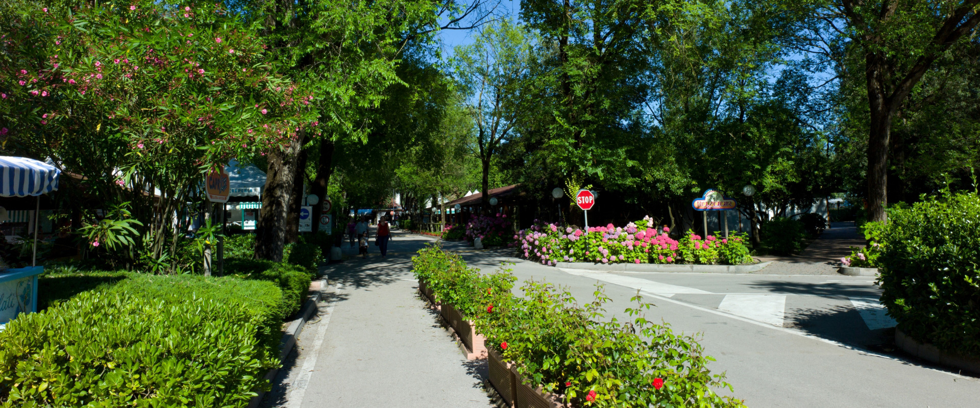 Viale alberato con fiori e cartelli, atmosfera tranquilla e luminosa giornata estiva.