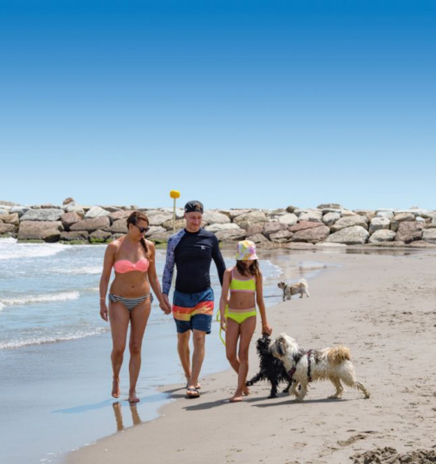 Famiglia con cani passeggia sulla spiaggia, giornata soleggiata e mare calmo.