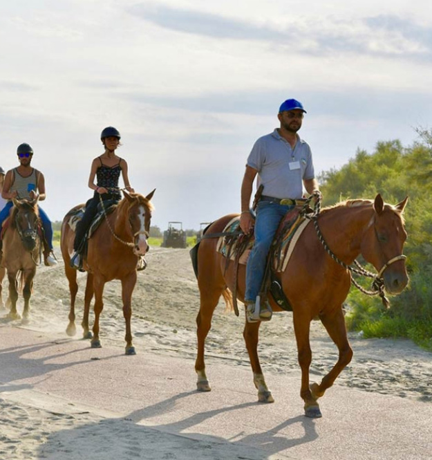 Persone a cavallo su un sentiero sabbioso, circondati da vegetazione.