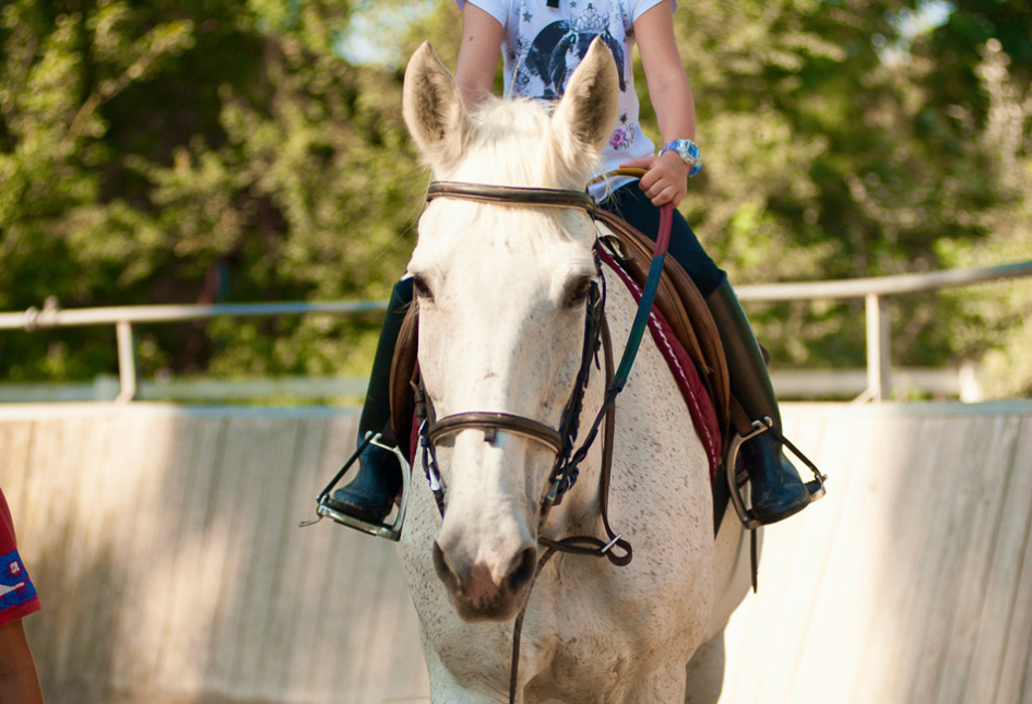 Bambina con casco monta un cavallo bianco in un recinto all'aperto.