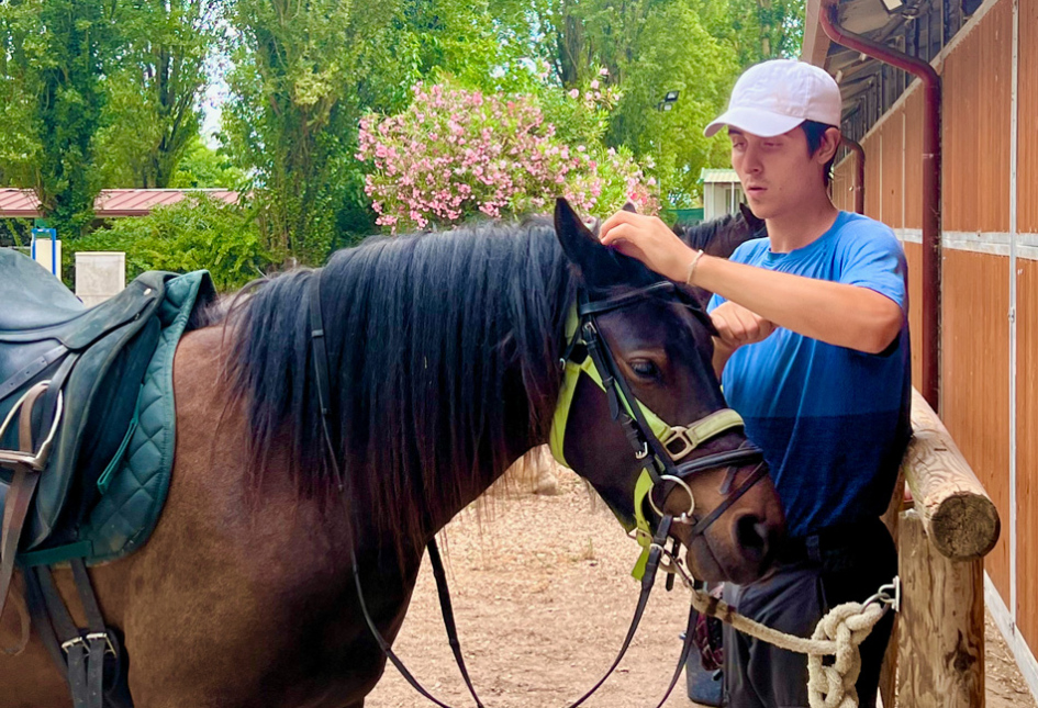 Persona prepara un cavallo con sella e briglie vicino a una stalla.